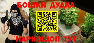 прущие крисы Ипатово
