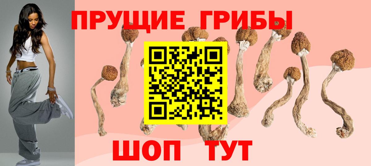 Кизляр  Псилоцибиновые грибы Psilocybine cubensis  Вход с VPN  Псилоцибиновые грибы MAGIC MUSHROOMS 